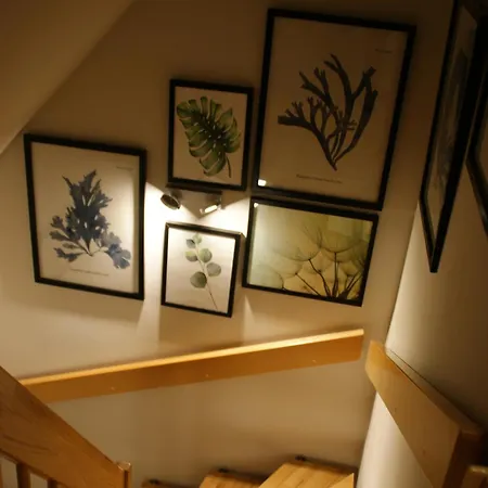 Reethus Sternenkikker Inkl Strandkorb Am Ostseestrand Ferienhaus Ostseebad Heringsdorf