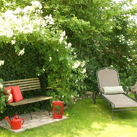 Reethus Sternenkikker Inkl Strandkorb Am Ostseestrand *