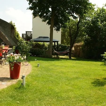 Reethus Sternenkikker Inkl Strandkorb Am Ostseestrand Ferienhaus Ostseebad Heringsdorf